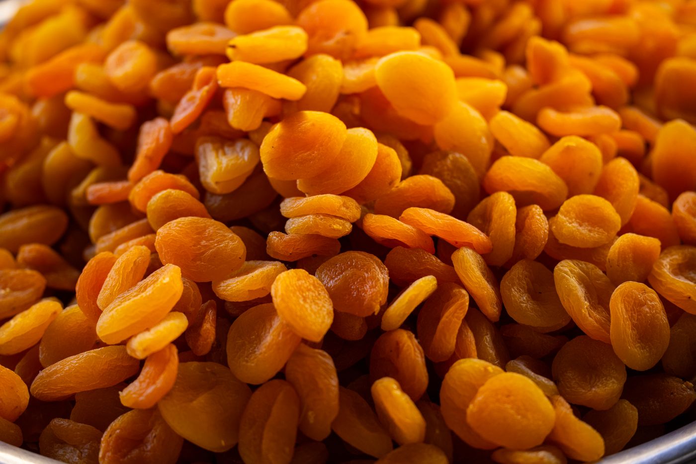 Dried Apricots — Malatya